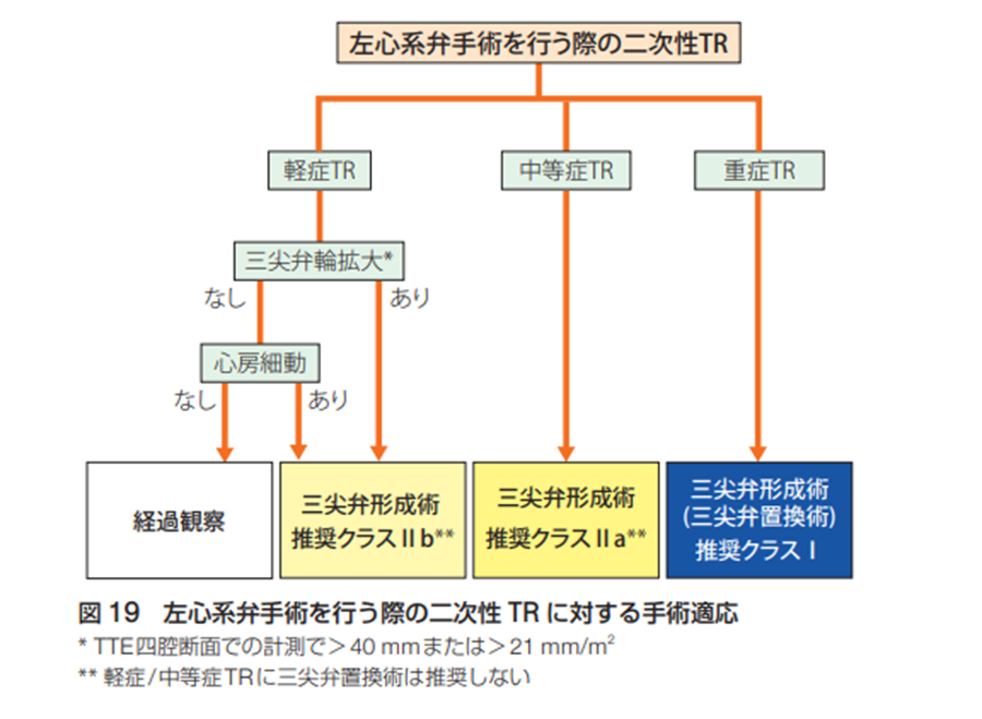 僧帽弁手術時、中等症以下TRへの同時三尖弁形成術は有益か？ | 明日